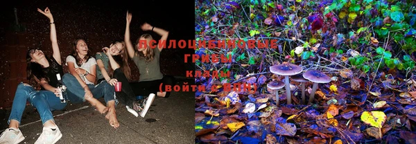 кокс Богородицк