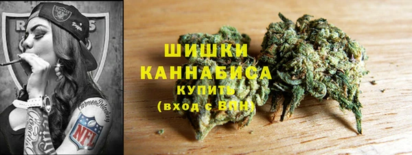 кокс Богородицк