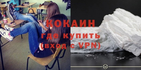 кокс Богородицк