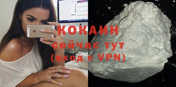 кокс Богородицк