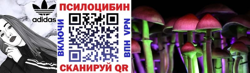 кракен tor  Шумерля  мориарти Telegram  Галлюциногенные грибы Psilocybe 